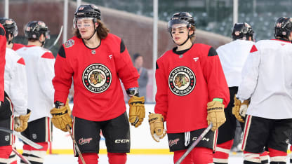 职业生涯的 职业生涯的